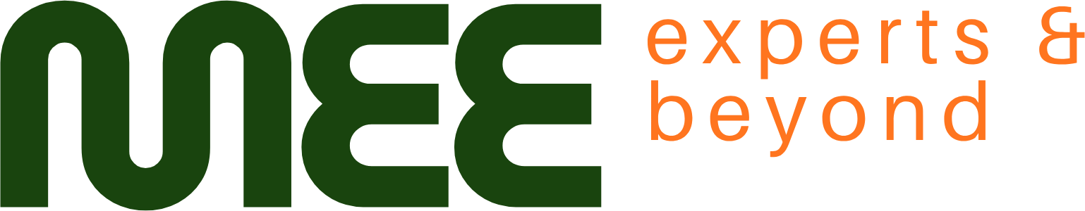 MEE experts & beyond